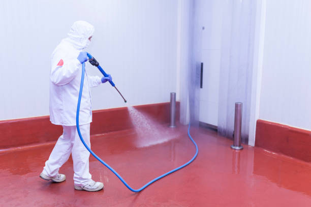 Best Brick and Stone Cleaning in Staunton, VA